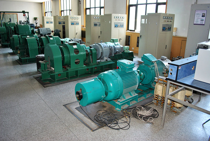 禄丰某热电厂使用我厂的YKK高压电机提供动力
